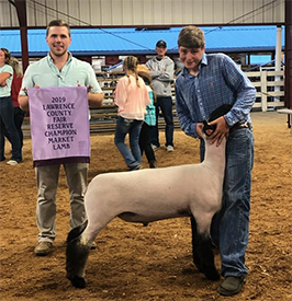 Reserve Champion Market Lamb 2019 Lawrence County Fair Reserve Champion Market Lamb<br />
2019 Lawrence County Fair