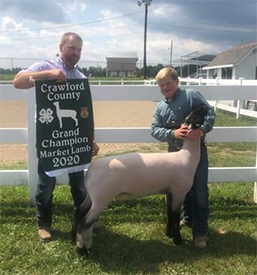 Grand Champion Market Lamb 2020 Crawford County Fair, PA Grand Champion Market Lamb<br />
2020 Crawford County Fair, PA