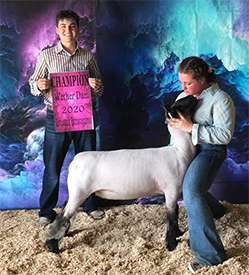 Champion Wether Dam 2020 Livestock Extravaganza Champion Wether Dam<br />
2020 Livestock Extravaganza