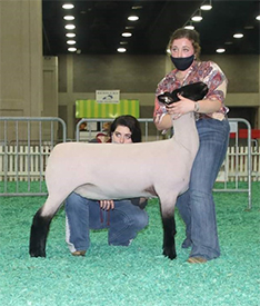 Reserve Champion Slick Suffolk Jr. Show 2020 N.A.I.L.E. Reserve Champion Slick Suffolk Jr. Show<br />
2020 N.A.I.L.E.