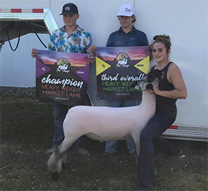 Reserve Heavyweight Third Overall Heavyweight 2020 Sheep Showdown Reserve Heavyweight<br />
Third Overall Heavyweight<br />
2020 Sheep Showdown