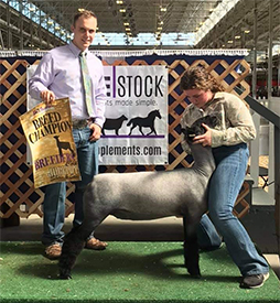 Champion AOB Ewe 2021 Breeders Cup Jackpot Champion AOB Ewe<br />
2021 Breeders Cup Jackpot