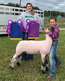 Champion Market Lamb 2021 Crawford County, PA Champion Market Lamb<br />
2021 Crawford County, PA
