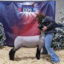 Third Overall AOB Commercial Ewe 2021 PAYLE Third Overall AOB Commercial Ewe<br />
2021 PAYLE