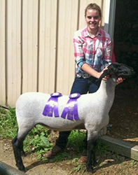 Champion Market Lamb 2014 Venango County Fair, PA Champion Market Lamb<br />
2014 Venango County Fair, PA
