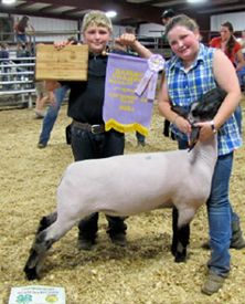Reserve Grand Champion 2014 Lawrence County, PA Reserve Grand Champion<br />
2014 Lawrence County, PA