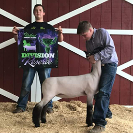 Reserve Champion Middleweight 2018 PCLA Bedford Spring Fling Reserve Champion Middleweight<br />
2018 PCLA Bedford Spring Fling