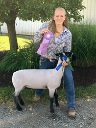Reserve Champion Market Lamb 2016 Butler County Fair, PA Reserve Champion Market Lamb<br />
2016 Butler County Fair, PA