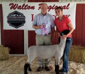 Reserve Grand Champion 2015 Walton Regional Livestock Show Reserve Grand Champion<br />
2015 Walton Regional Livestock Show
