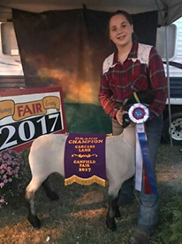 Grand Champion Carcass Lamb 2017 Canfield Fair Grand Champion Carcass Lamb<br />
2017 Canfield Fair