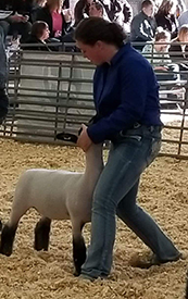 First - Class 1 2018 Bigger Than Banners, Hamburg NY First - Class 1<br />
2018 Bigger Than Banners, Hamburg NY