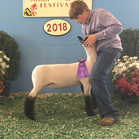 Grand Champion 2018 MSWF Grand Champion<br />
2018 MSWF