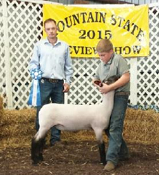 mtstateChampion Light Wt. 2015 Mountain State Preview Show Petersburg ,WV Champion Light Wt.<br />
2015 Mountain State Preview Show Petersburg ,WV