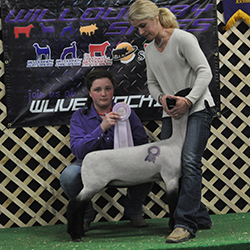 MSB 6028 Reserve Champion Suffolk Wether Dam 2016 MidWest Elite MSB 6028<br />
Reserve Champion Suffolk Wether Dam<br />
2016 MidWest Elite