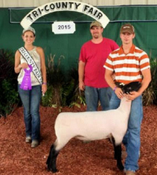 Champion Suffolk WD 2015 Tri Co. Fair - Petersburg WV Champion Suffolk WD<br />
2015 Tri Co. Fair - Petersburg WV