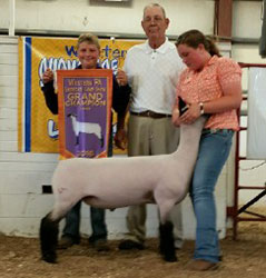 Champion Market Lamb 2016 WPA Showcase Jackpot Show Champion Market Lamb<br />
2016 WPA Showcase Jackpot Show