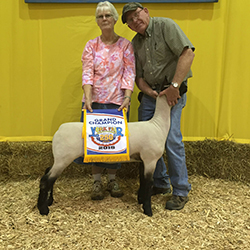 Champion Open Market Lamb 2015 York Fair PA Champion Open Market Lamb<br />
2015 York Fair PA